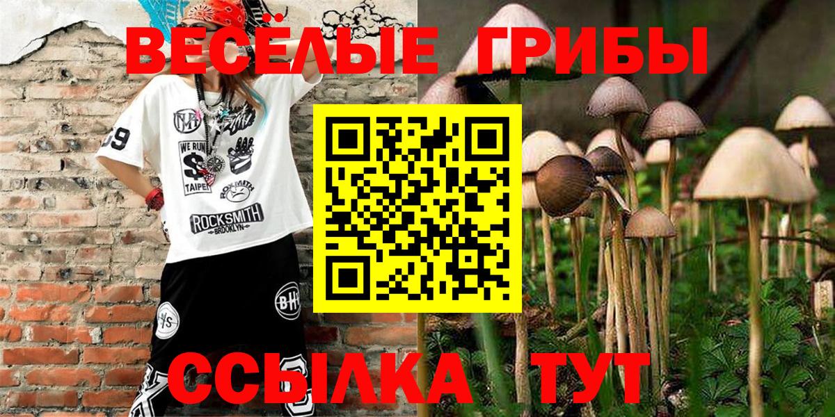 Галлюциногенные грибы Magic Shrooms Калуга