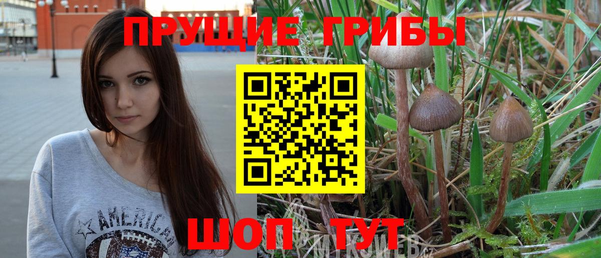 Галлюциногенные грибы Psilocybine cubensis  Псилоцибиновые грибы Cubensis  Калуга  Вход с VPN 