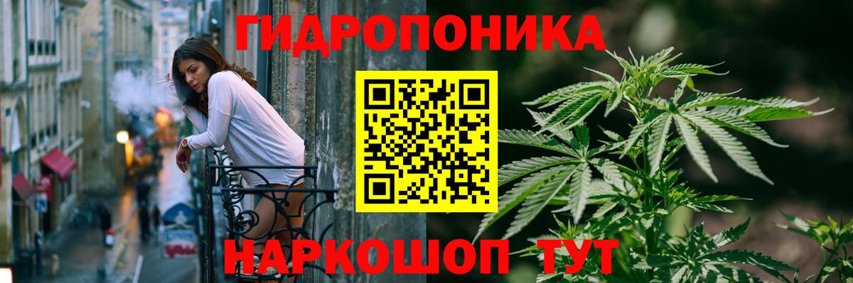 Шишки марихуана план  Вход с VPN  Каннабис гибрид  Бошки марихуана тримм  Калуга 